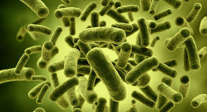 Biologics Safety Tests