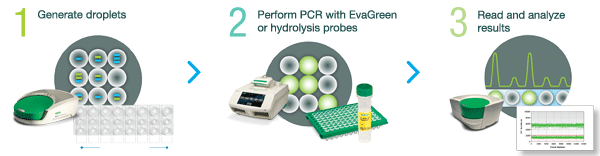 Digital PCR