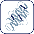 Protein Analysis and other Immunoassays